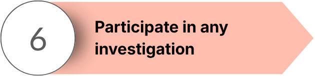 Step 6: Participate in any investigation